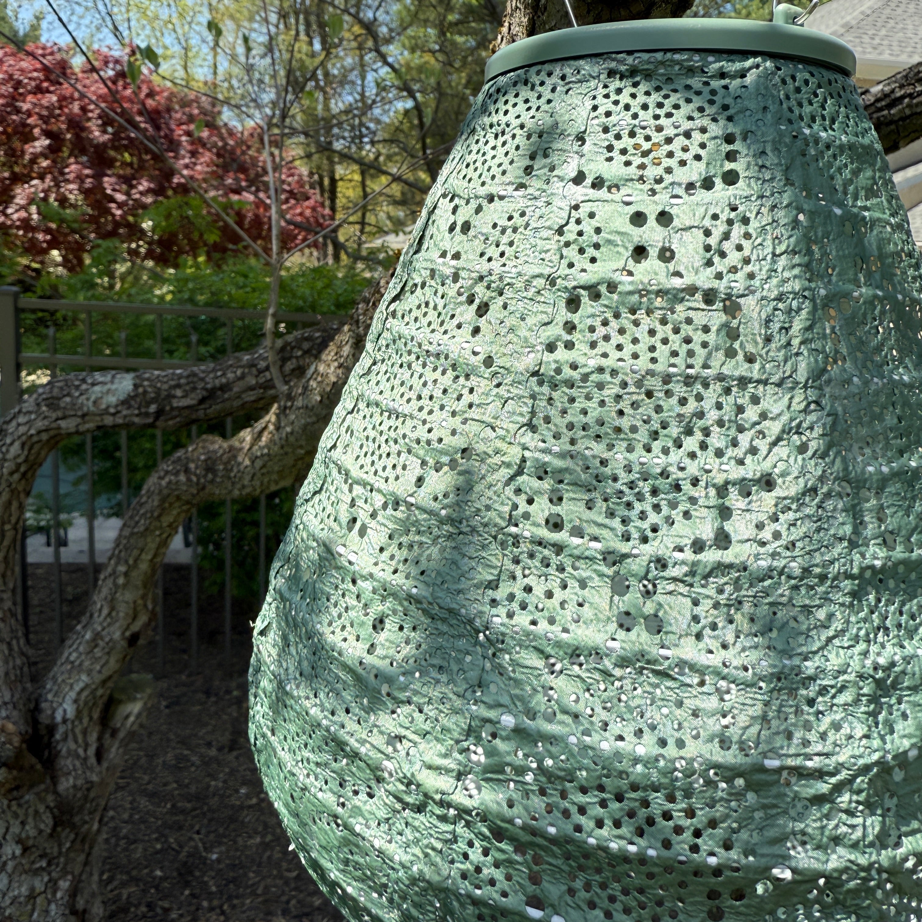 New Edition LUMIZ Battery Powered LED Tulip Shape Lantern