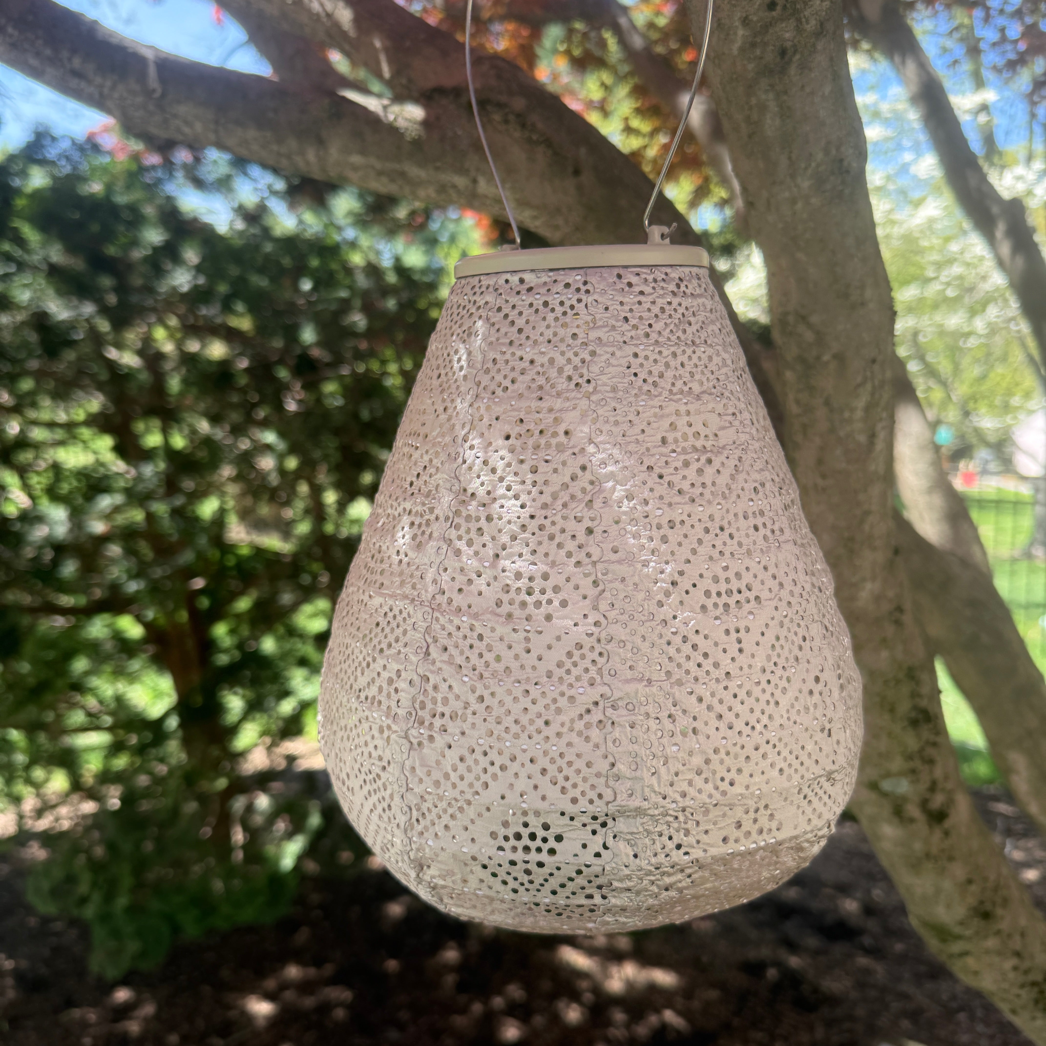 New Edition LUMIZ Battery Powered LED Tulip Shape Lantern