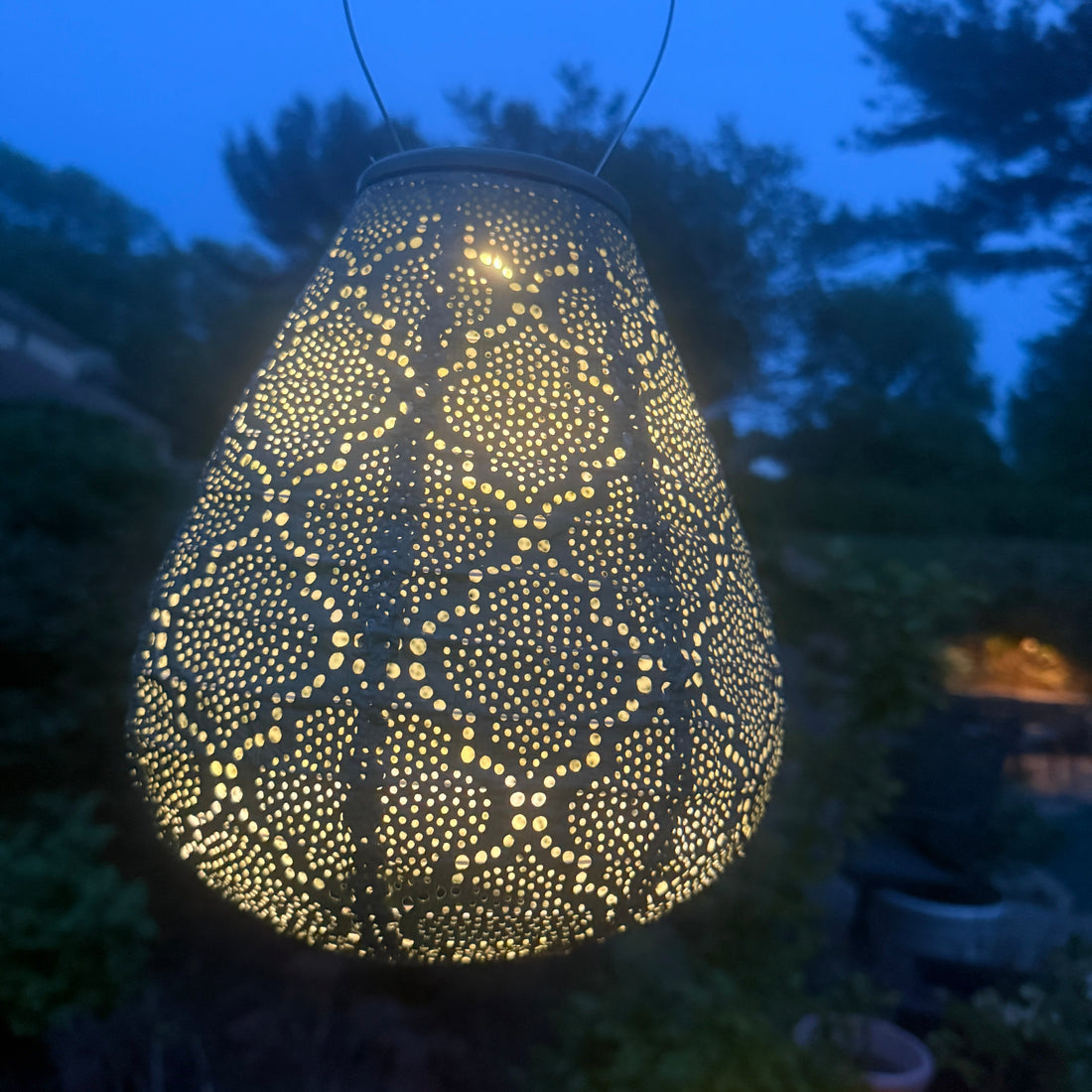 New Edition LUMIZ Battery Powered LED Tulip Shape Lantern