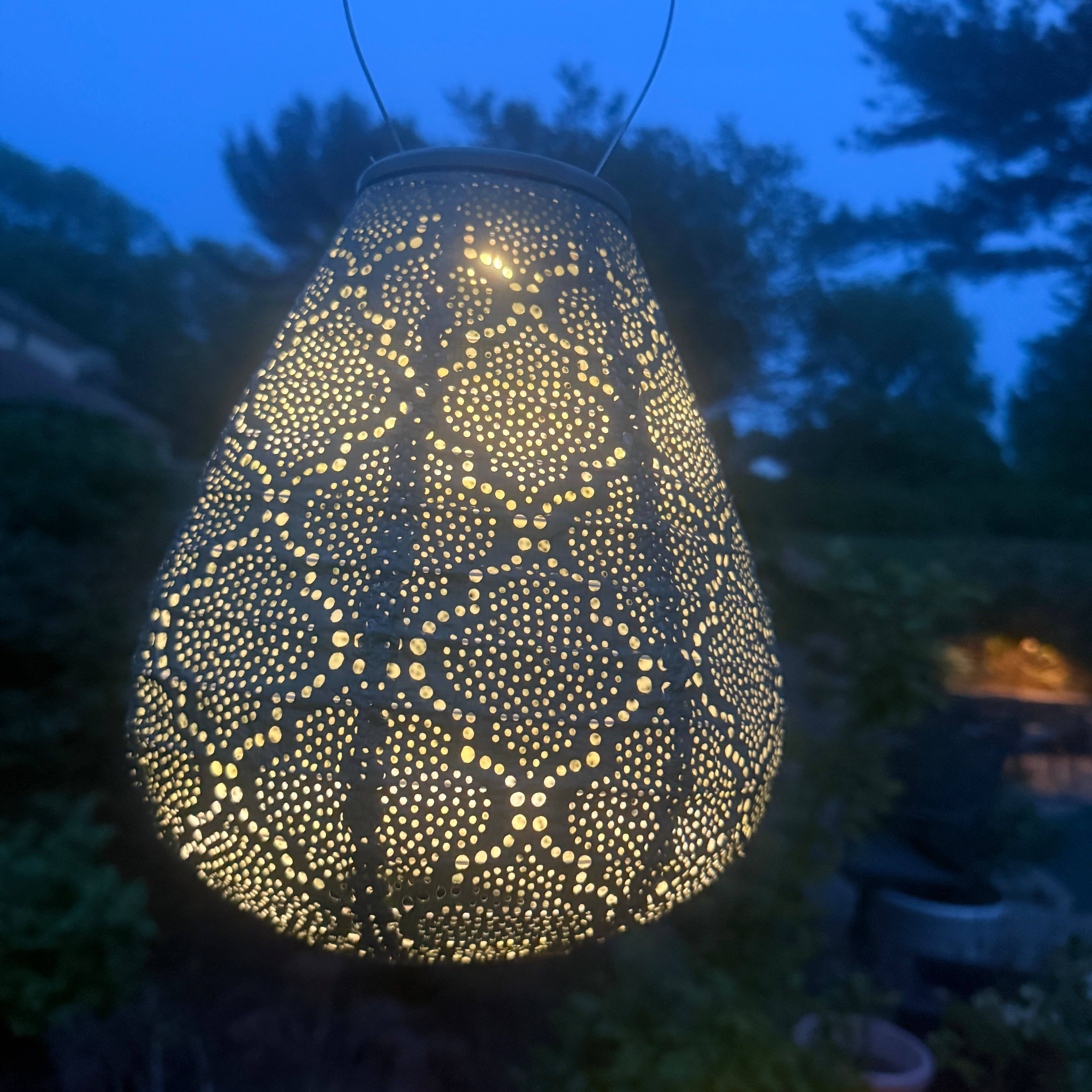 New Edition LUMIZ Battery Powered LED Tulip Shape Lantern