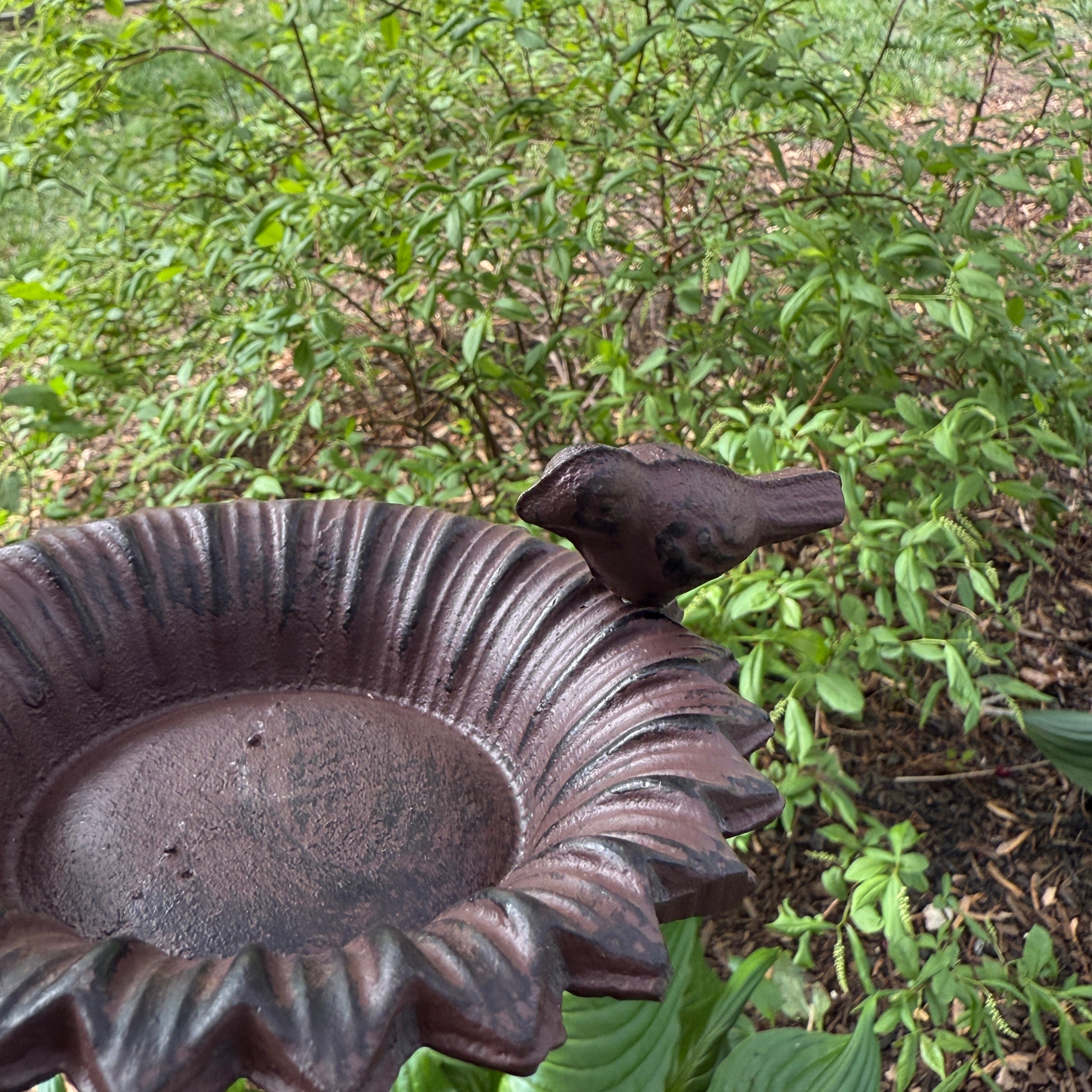 Flower Bird Bath on Stake for