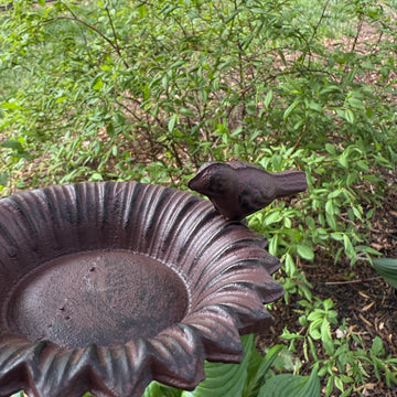 Flower Bird Bath on Stake for