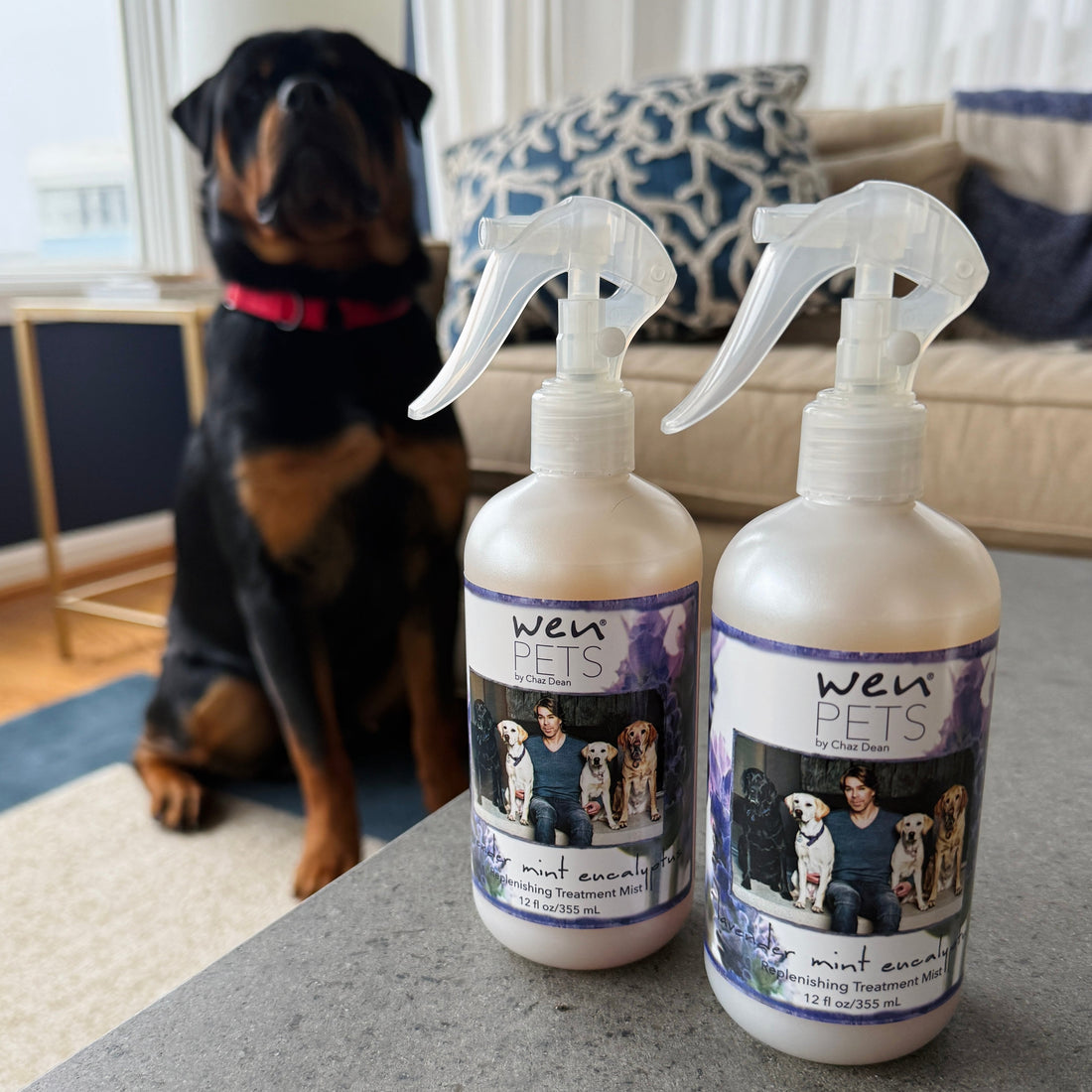 WEN by Chaz Dean Pets Replenishing Treatment Mist Duo