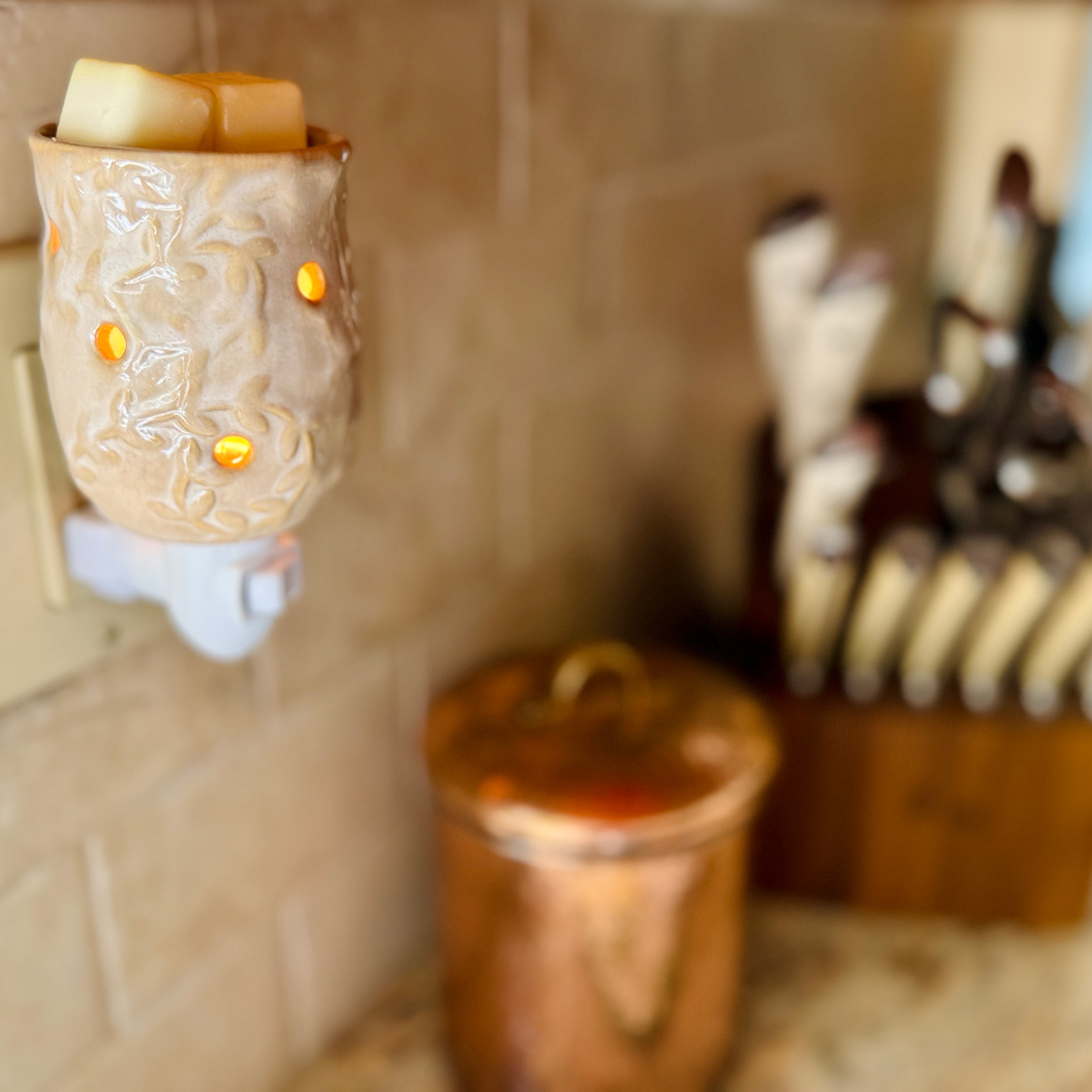 Candle Warmers Neutral Vine Pluggable Wax Warmer With   Wax Melts