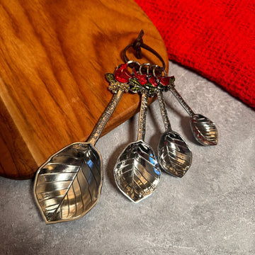 Choice of Set of 4 Measuring Spoons for
