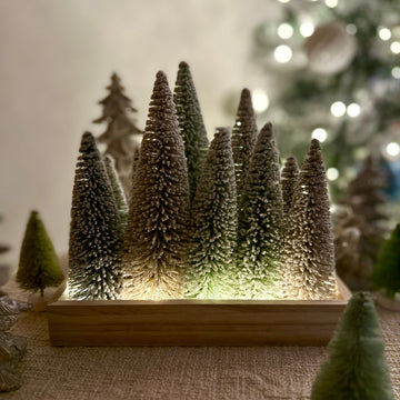 Snowy Tree Grove on Base for