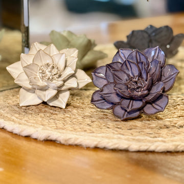 Set of 2 Ceramic Succulents for
