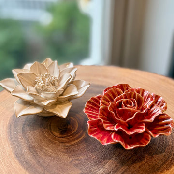 Set of 2 Ceramic Begonia and Succulent for
