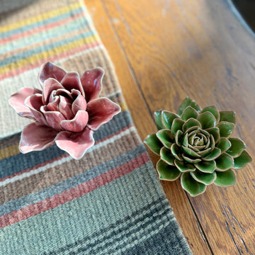Set of 2 Ceramic Orchid and Succulent for
