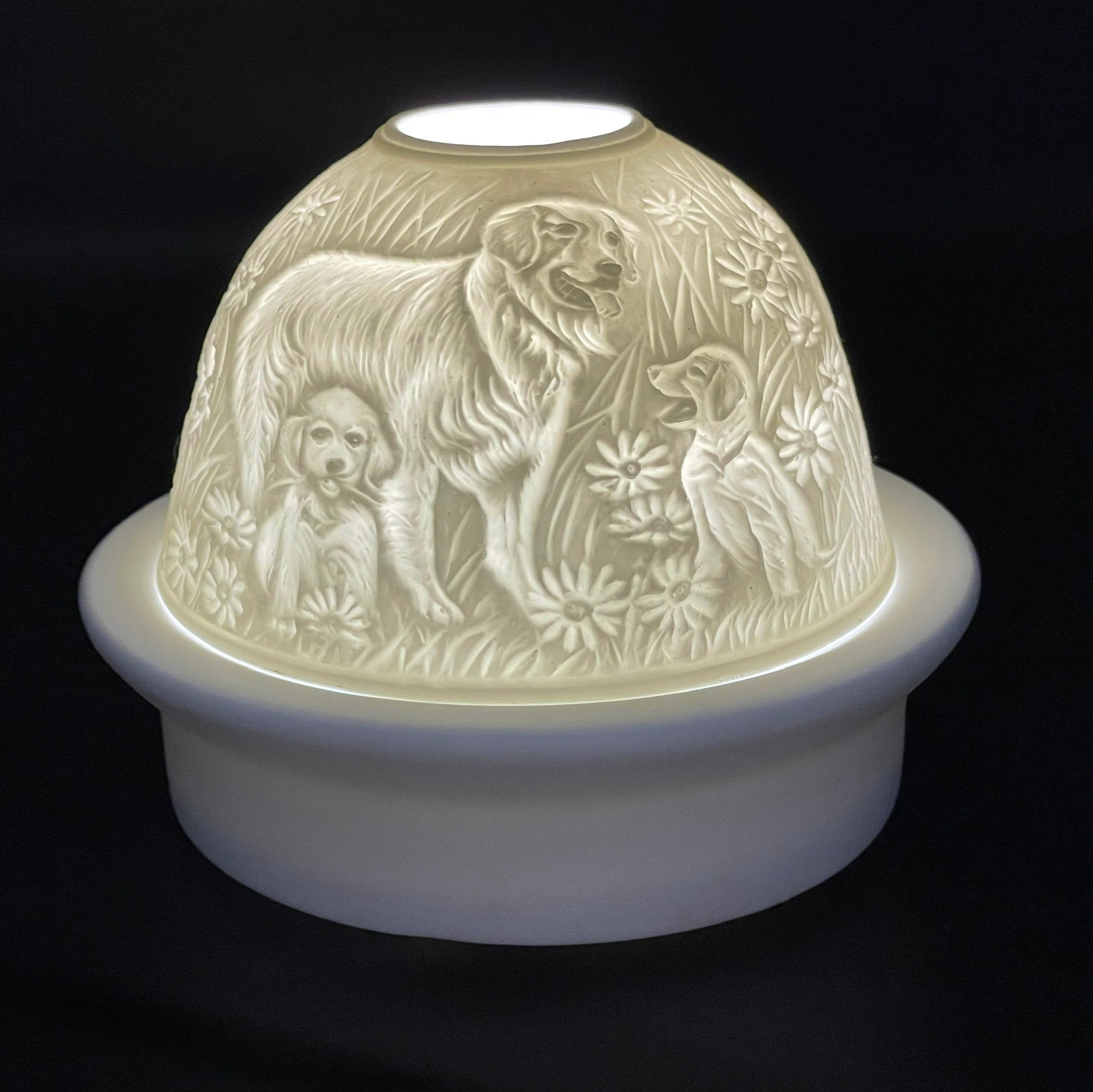 Luumii Lights Animal Motif Porcelain Dome w/ LED Base