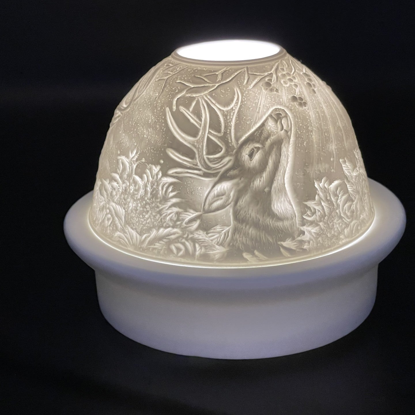 Luumii Lights Animal Motif Porcelain Dome w/ LED Base